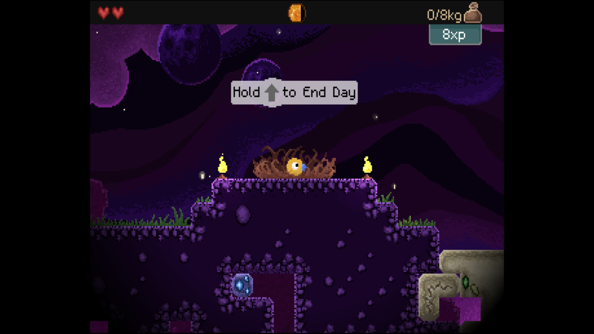 钻头鸟/Drill Bird 钻头鸟/Drill Bird