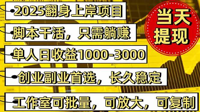 (16501期)2025翻身上岸项目脚本干活,内部客户经理内部开号,单人日收益1000-300…-小优资源网