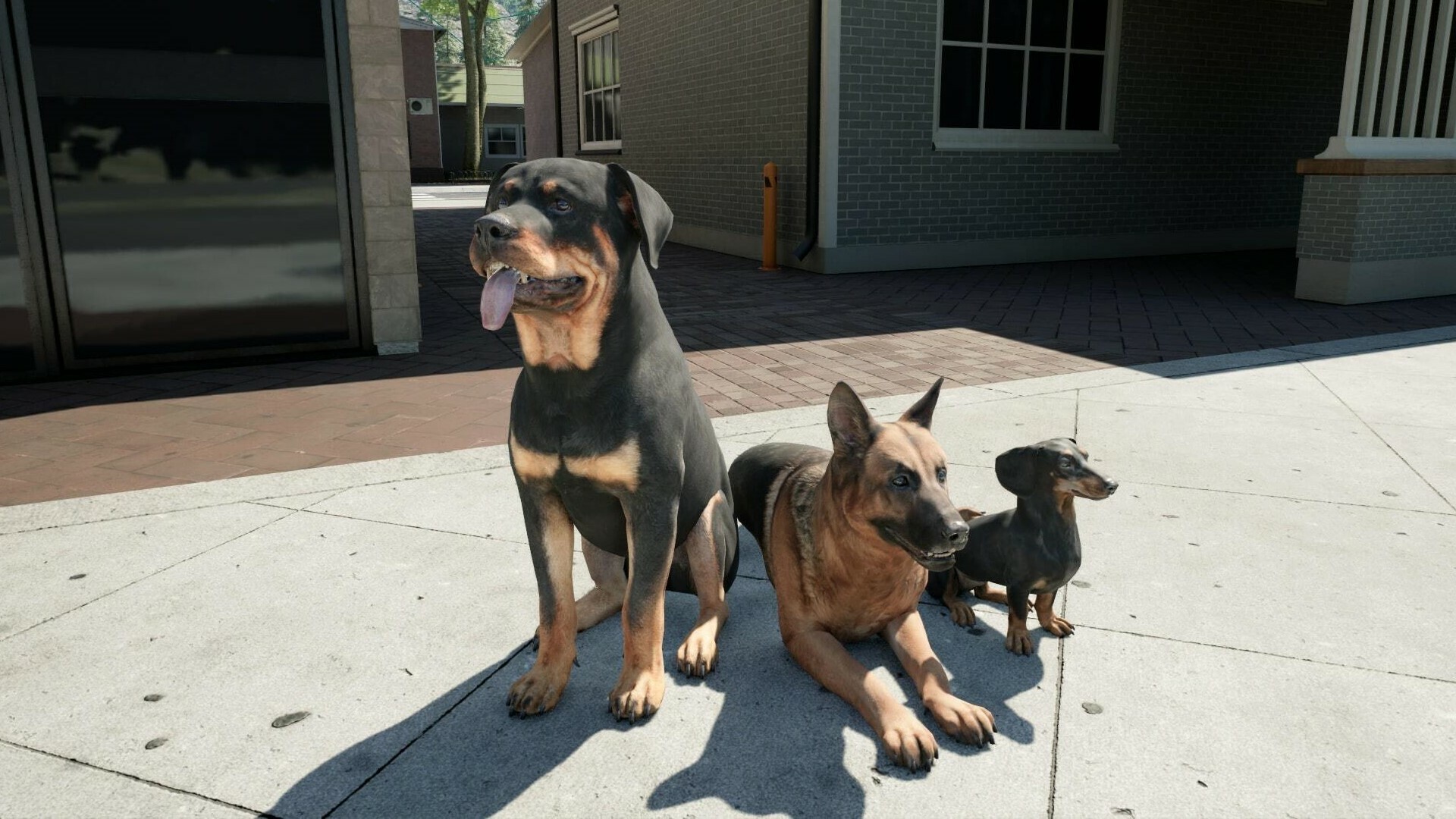 牧场模拟器/Ranch Simulator/支持网络联机 牧场模拟器/Ranch Simulator/支持网络联机